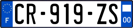 CR-919-ZS