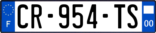 CR-954-TS