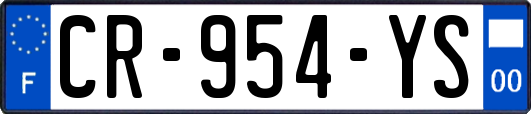 CR-954-YS