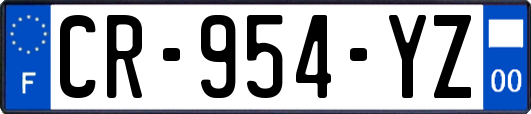 CR-954-YZ