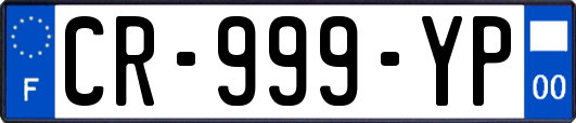 CR-999-YP