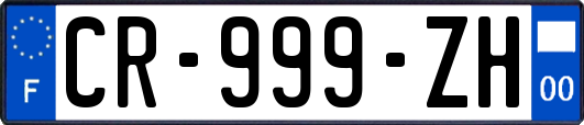 CR-999-ZH