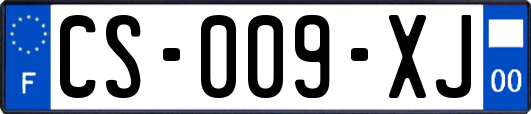 CS-009-XJ