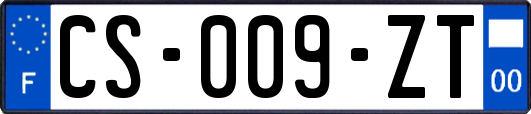 CS-009-ZT