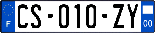 CS-010-ZY