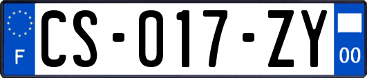 CS-017-ZY