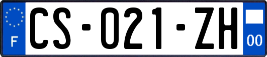 CS-021-ZH