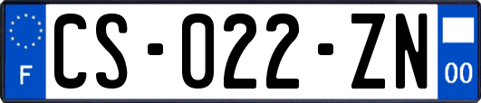 CS-022-ZN