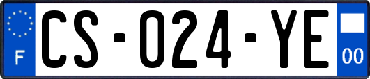 CS-024-YE