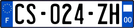 CS-024-ZH