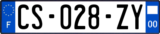 CS-028-ZY