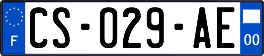 CS-029-AE