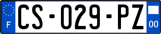 CS-029-PZ