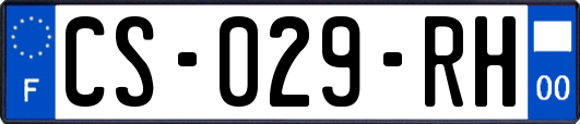 CS-029-RH