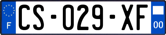 CS-029-XF