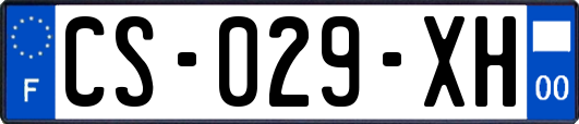 CS-029-XH