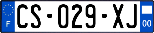 CS-029-XJ