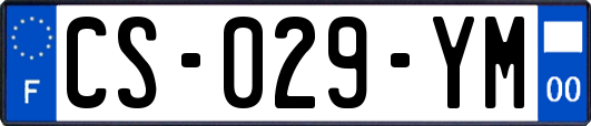 CS-029-YM