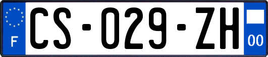 CS-029-ZH