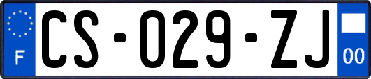 CS-029-ZJ