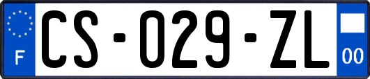 CS-029-ZL