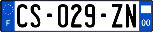 CS-029-ZN