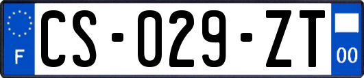 CS-029-ZT