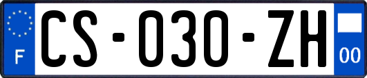 CS-030-ZH