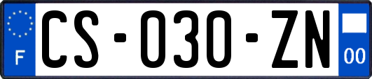 CS-030-ZN