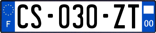 CS-030-ZT