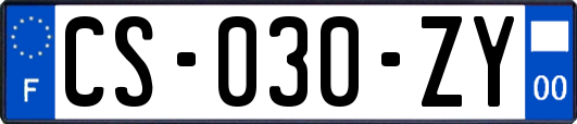 CS-030-ZY