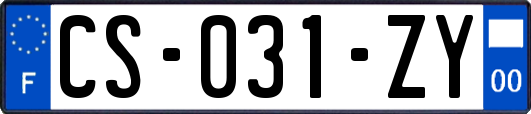 CS-031-ZY