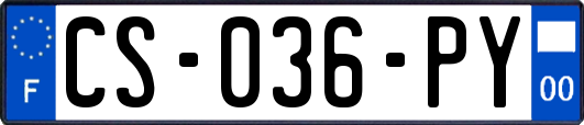 CS-036-PY