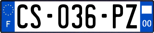 CS-036-PZ