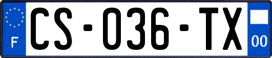 CS-036-TX