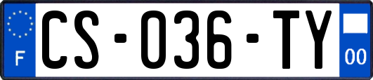 CS-036-TY
