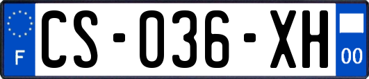 CS-036-XH