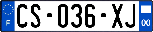 CS-036-XJ