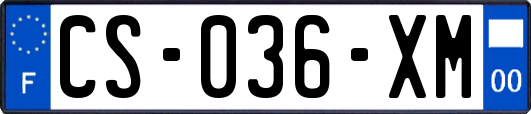 CS-036-XM