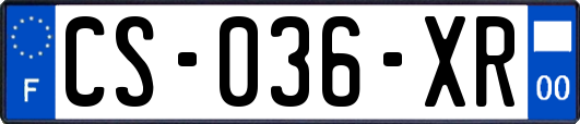 CS-036-XR