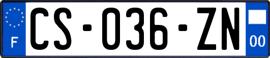 CS-036-ZN