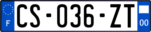 CS-036-ZT