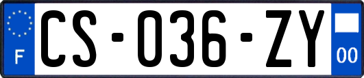 CS-036-ZY