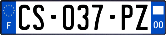 CS-037-PZ