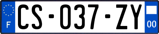 CS-037-ZY