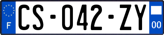 CS-042-ZY