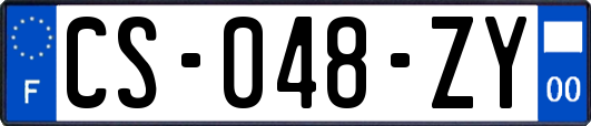 CS-048-ZY