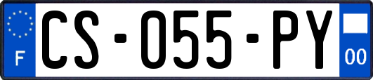 CS-055-PY