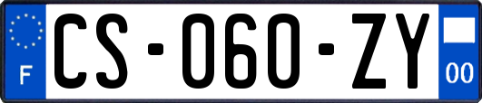 CS-060-ZY