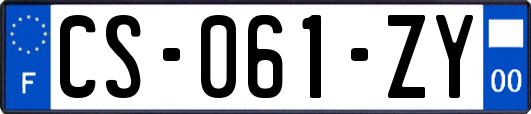 CS-061-ZY